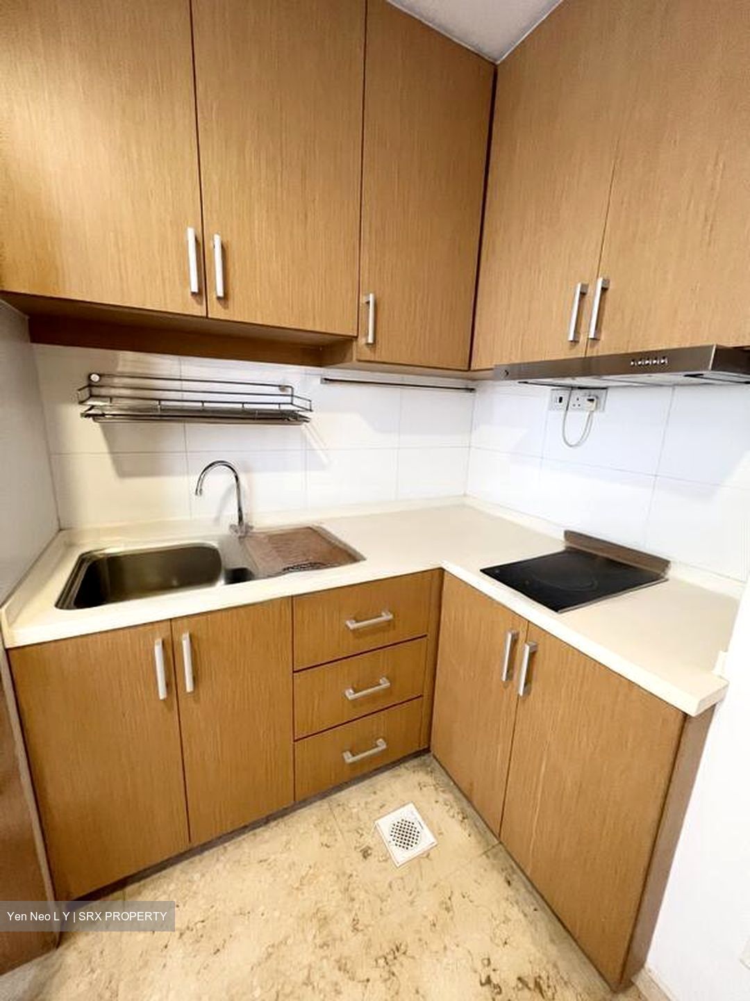 The Scenic @ Braddell (D13), Apartment #481104841